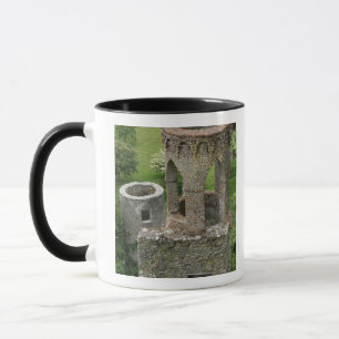 Europa, Ierland, Kasteel van Blarney. DEZE AFBEELD Mok
