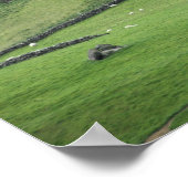 Europa, Ierland, Kerry County, Ring of Kerry. Poster (Hoek)