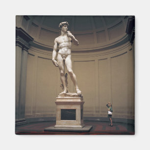 Europa, Italië, Florence. De werkelijke grootte va Magneet