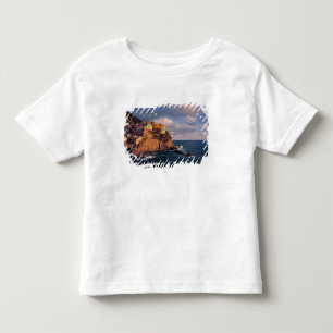 Europa, Italië, Manarola. De klifgeneste Kinder Shirts