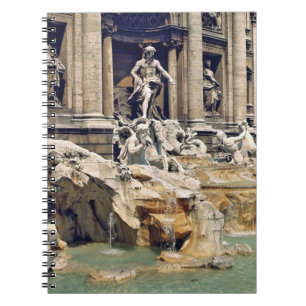 Europa, Italië, Rome. Munten liggen op de bodem va Notitieboek