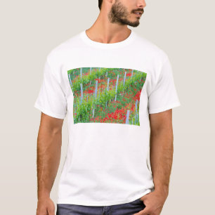 Europa, Italië, Toscane. Kleurrijke rode papavers  T-shirt