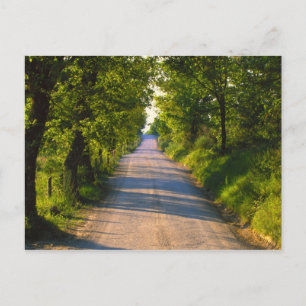 Europa, Italië, Toscane, met bomen omzoomde weg Briefkaart