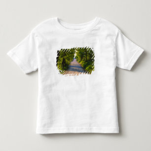 Europa, Italië, Toscane, met bomen omzoomde weg Kinder Shirts