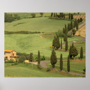Europa, Italië, Toscane, Monticchiello. Curvy Poster