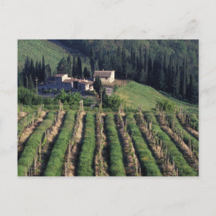Europa, Italië, Toscane. Schitterende villa cyprus Briefkaart