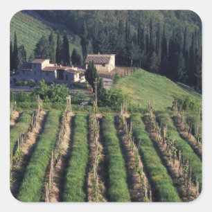 Europa, Italië, Toscane. Schitterende villa cyprus Vierkante Sticker