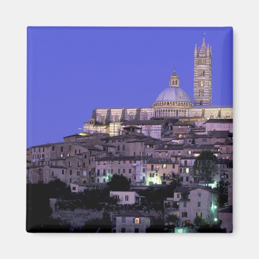 Europa, Italië, Toscane, Siena. 13e C. Duomo en Magneet (Voorkant)
