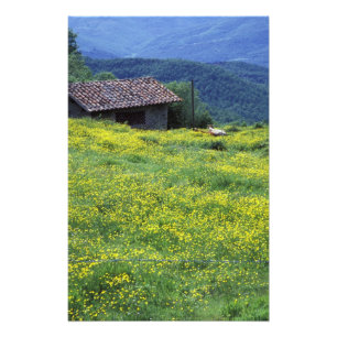 Europa, Italië, Toscane, Siena, Chianti. Foto Afdruk