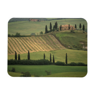 Europa, Italië, Toscane, Val d' Orcia, Toscaans Magneet
