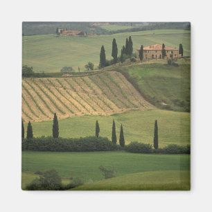 Europa, Italië, Toscane, Val d' Orcia, Toscaans Magneet