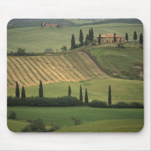 Europa, Italië, Toscane, Val d' Orcia, Toscaans Muismat