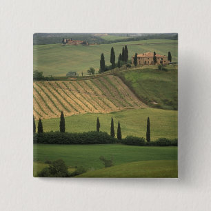 Europa, Italië, Toscane, Val d' Orcia, Toscaans Vierkante Button 5,1 Cm