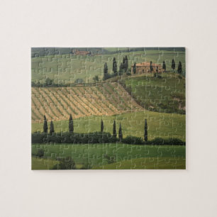 Europa, Italië, Toscane, Val d' Orcia, Toscane Legpuzzel