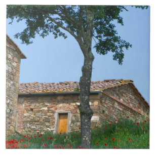 Europa, Italië, Toscane, verlaten villa in Tegeltje