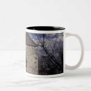 Europa, Liechtenstein, Vaduz. Kasteel Vaduz, Tweekleurige Koffiemok