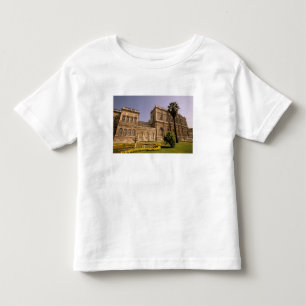 Europa, Midden-Oosten, Istanbul. De Bosporus, Kinder Shirts