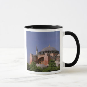 Europa, Midden-Oosten, Turkije, Istanbul. Aya Mok