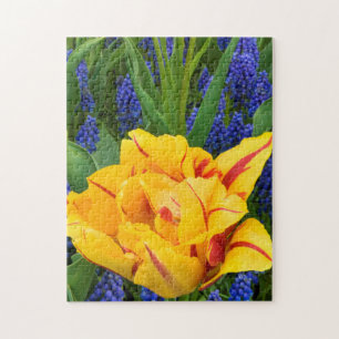 Europa, Nederland, Lisse. Tulpen Legpuzzel