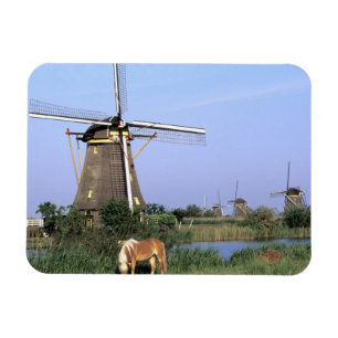 Europa, Nederland, Zuid Holland, Kinderdijk. 2 Magneet