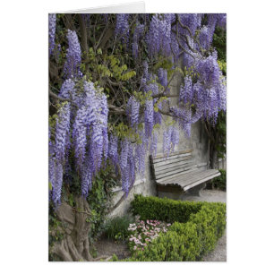 Europa, Oostenrijk, Salzburg Stadt, Salzburg,