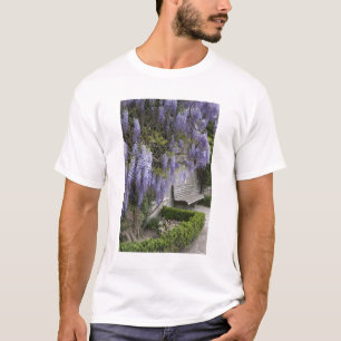 Europa, Oostenrijk, Salzburg Stadt, Salzburg, T-shirt
