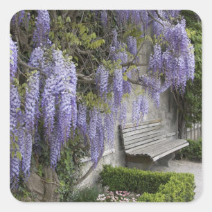 Europa, Oostenrijk, Salzburg Stadt, Salzburg Vierkante Sticker