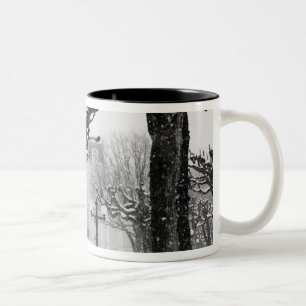 Europa, Oostenrijk, Salzburg. Winter, Tweekleurige Koffiemok