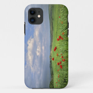 Europa, Toscane, Poggiolo. Rode klaprozen deinen iPhone 11 Hoesje