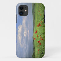 Europa, Toscane, Poggiolo. Rode papegaaien