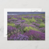 Europa, Turkije, Cappadocia. Landlandschap 3 Briefkaart (Voorkant / Achterkant)