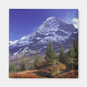 Europa, Zwitserland, Eiger. Herfstkleuren zijn ove Magneet