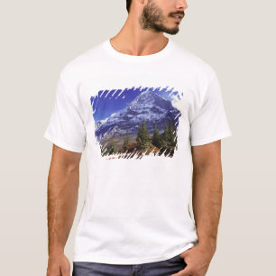 Europa, Zwitserland, Eiger. Herfstkleuren zijn ove T-shirt