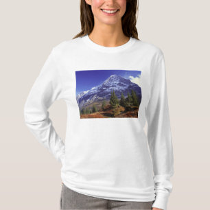 Europa, Zwitserland, Eiger. Vallen kleuren aanwezi T-shirt