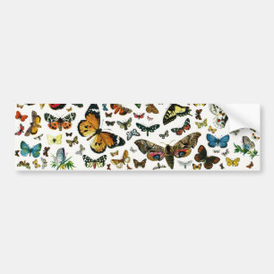 Europa's beste Butterflies en Moths Collage Bumpersticker