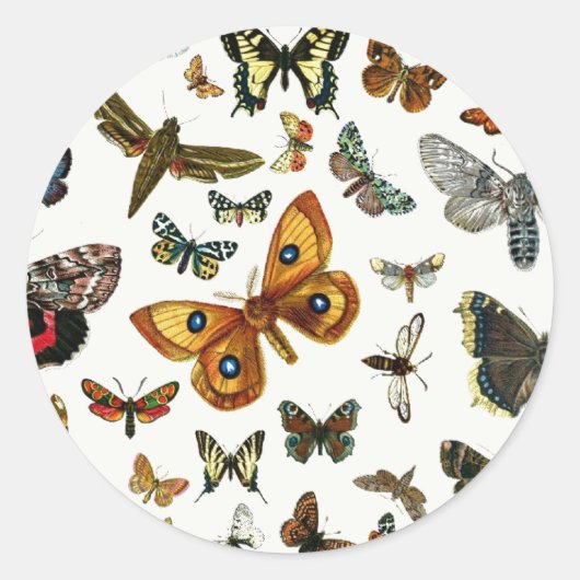 Europa's beste Butterflies en Moths Collage Ronde Sticker (Voorkant)