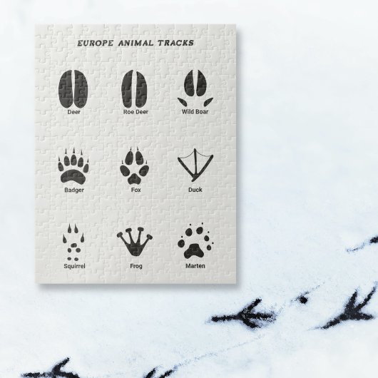 Europe Animal Tracks Puzzle Legpuzzel