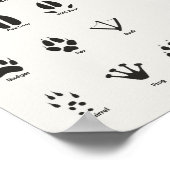 Europe Animal Trails Set Poster (Coin)