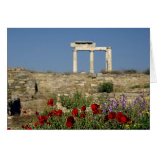 Europe, Grèce, Cyclades, Délos. Ruines de colonnes