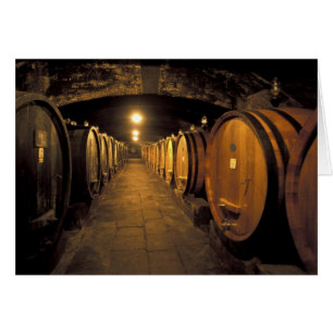 Europe, Italie, région Toscane. Caves à Chianti
