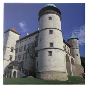 EUROPE, Polen, Karpatenoot Mts, Nowy Wisnicz Tegeltje