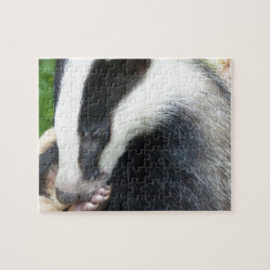 European Badger Face Legpuzzel