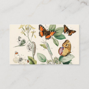 European Butterflies Moths William Forsell Kirby Visitekaartje