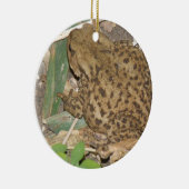 European Common Toad Custom Birthday Keramisch Ornament (Rechts)