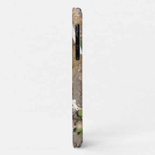 European Common Toad iPhone 3 Case (Achterkant/links)