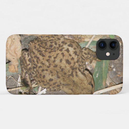 European Common Toad iPhone 3 Case (Achterkant (horizontaal))