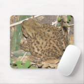 European Common Toad Mousepad Muismat (Met muis)
