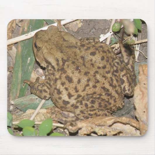 European Common Toad Mousepad Muismat (Voorkant)