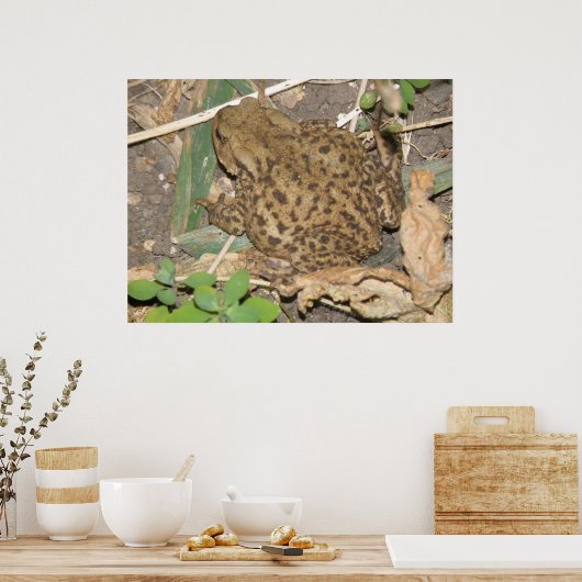 European Common Toad Print (Keuken)
