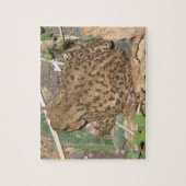 European Common Toad Puzzle Legpuzzel (Verticaal)